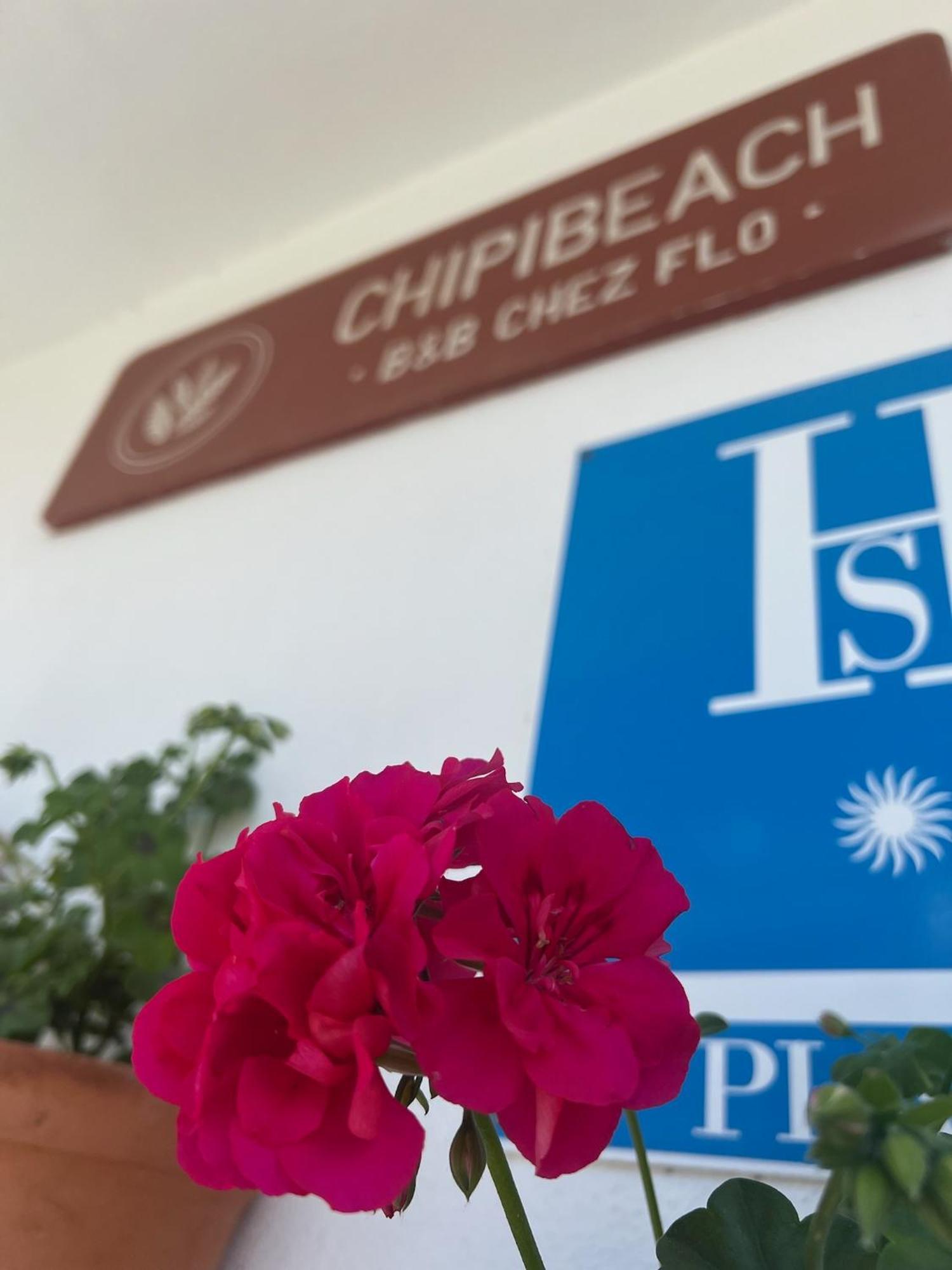 Chipibeach B&b, Boutique