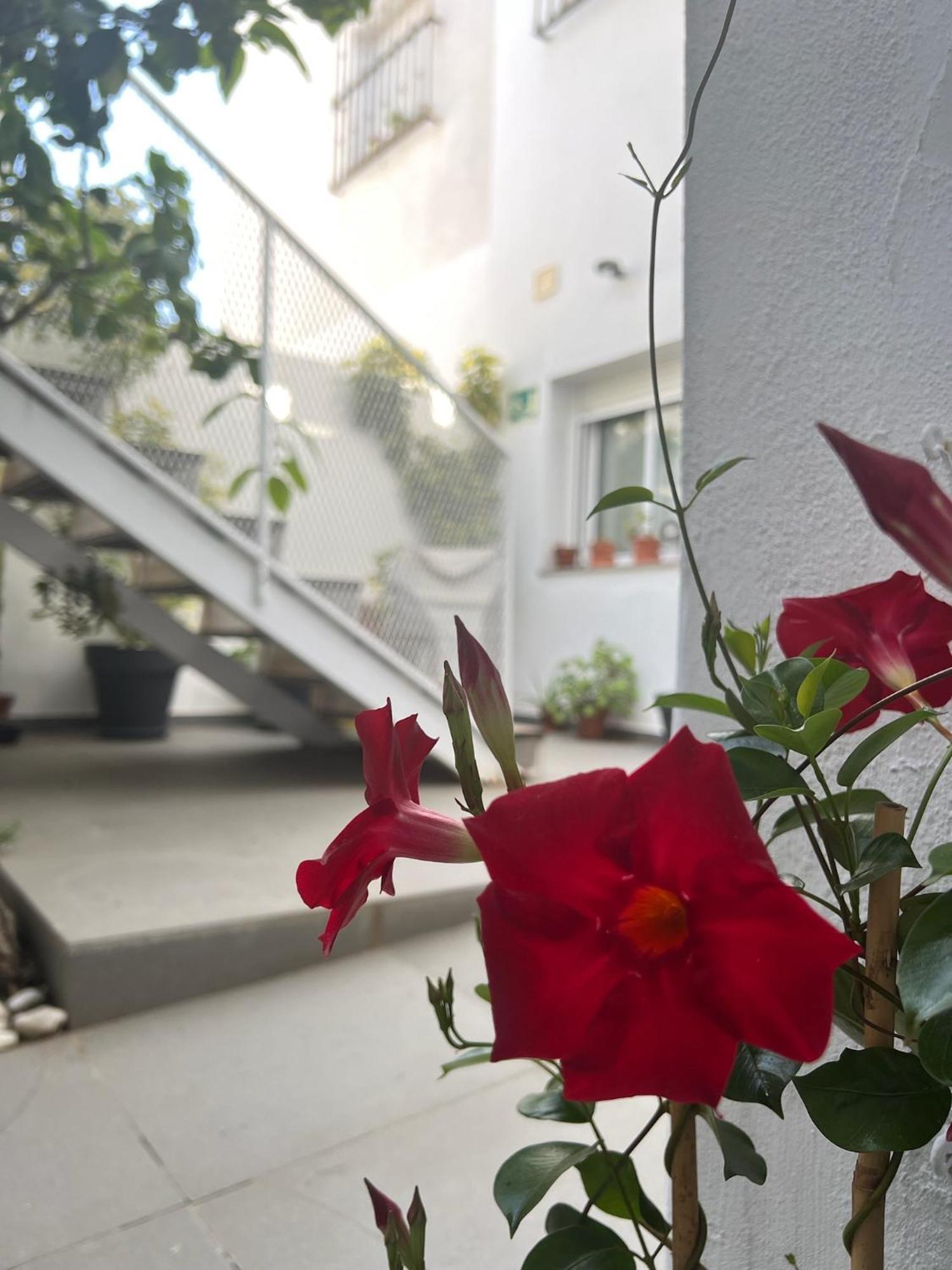 Chipibeach B&b, Boutique *
